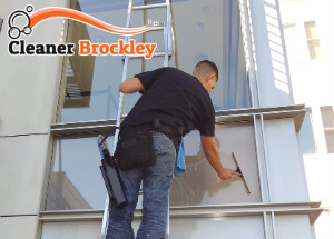 Window Cleaner Brockley