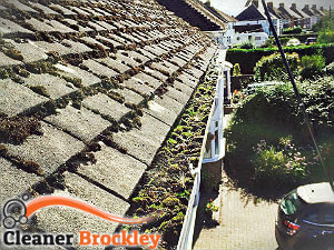 gutter-cleaning-brockley